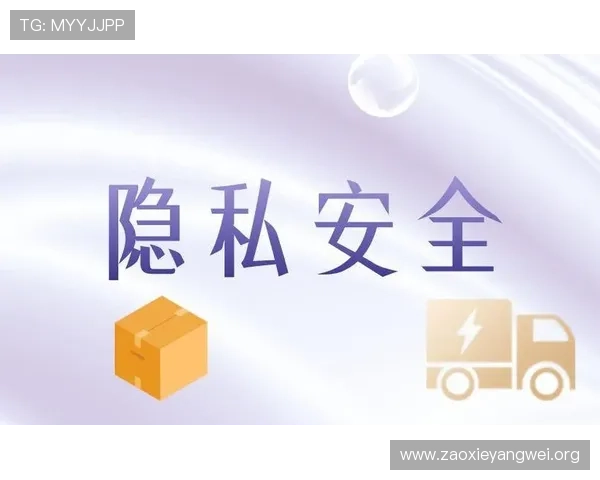亚星网站登录入口安全登录技巧，保障您的账号信息安全与隐私保护