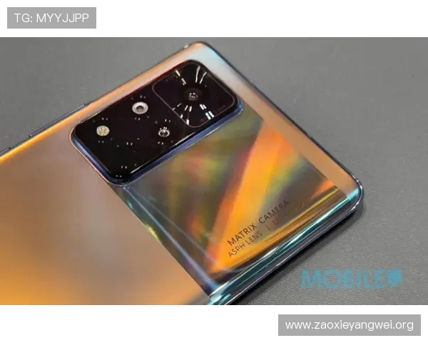 亚星111.cm手机登录遇到问题怎么办详细解决方案推荐 亚星111.cm手机登录遇到问题怎么办详细解决方案推荐